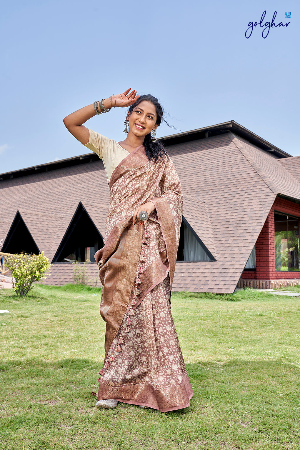 Duster Buster (Saree)