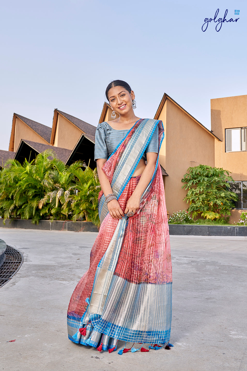 Aesthetic Charm (Saree)