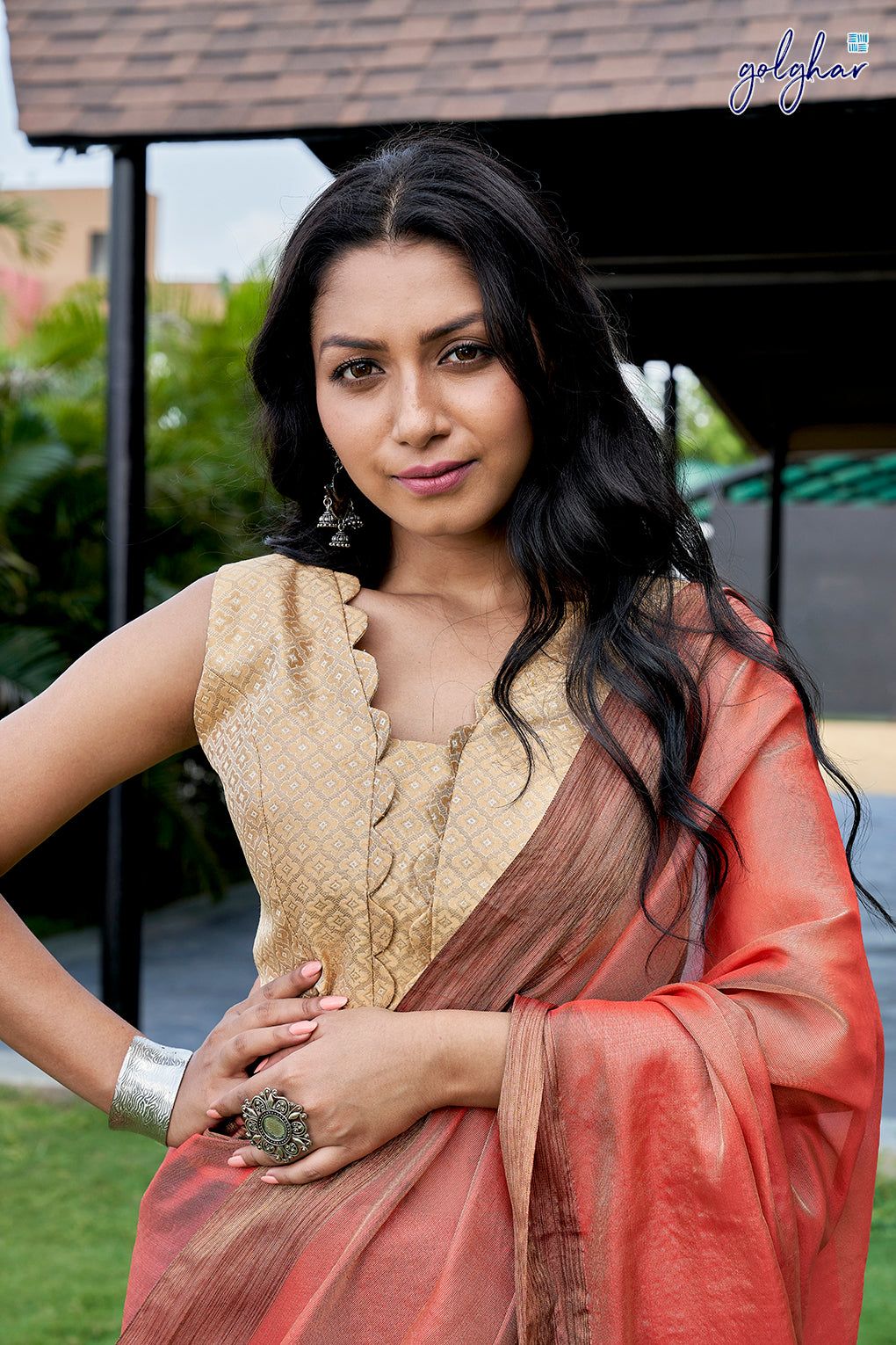 Dreamy Vision (Saree)