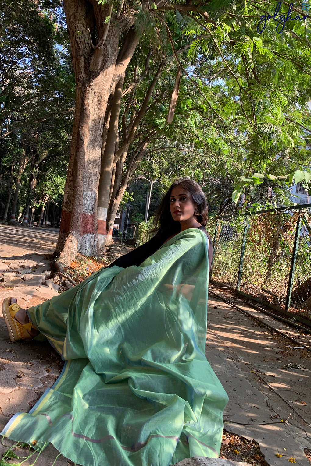 Jade Bonsai (Saree)