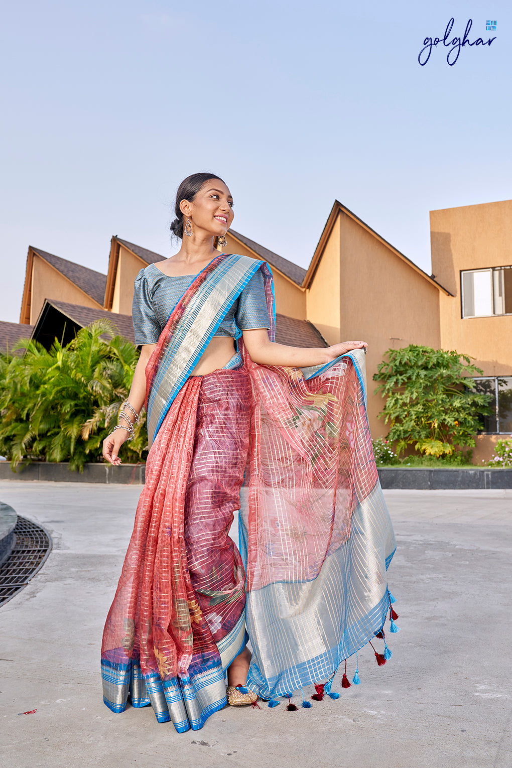 Aesthetic Charm (Saree)