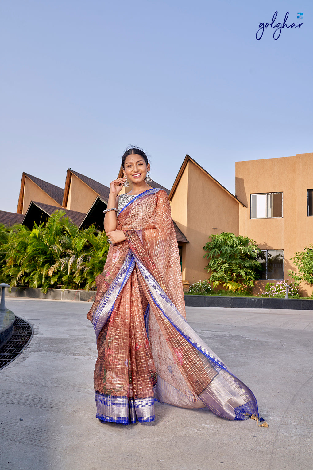 Ravishing Lit (Saree)