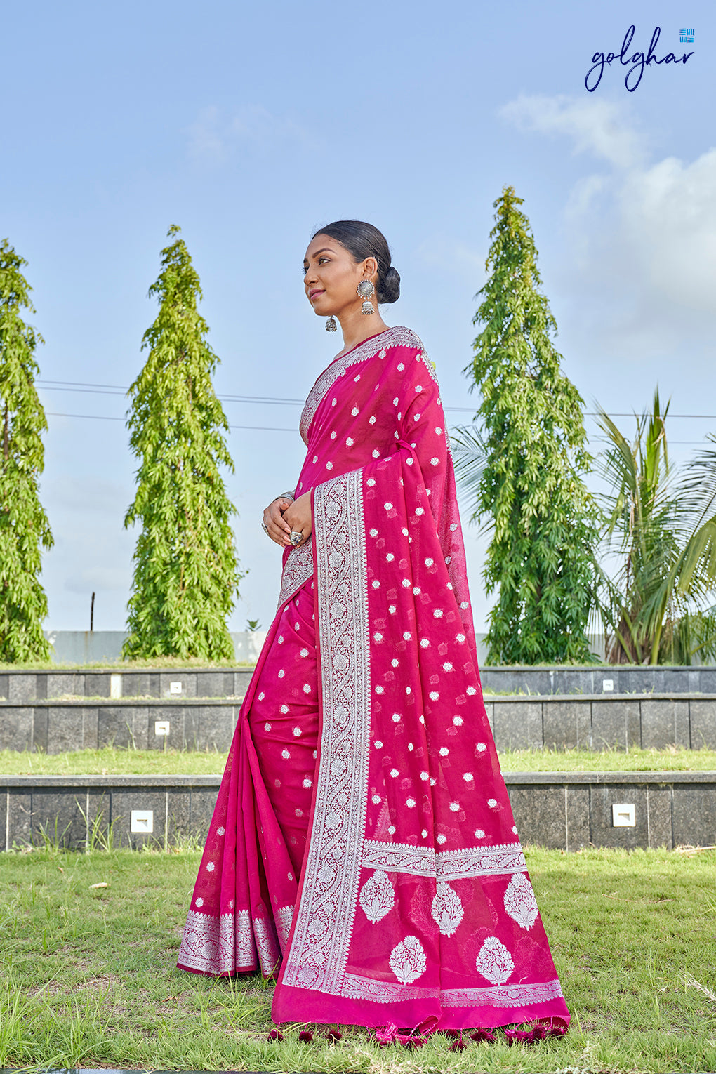 Star Cluster (Saree)